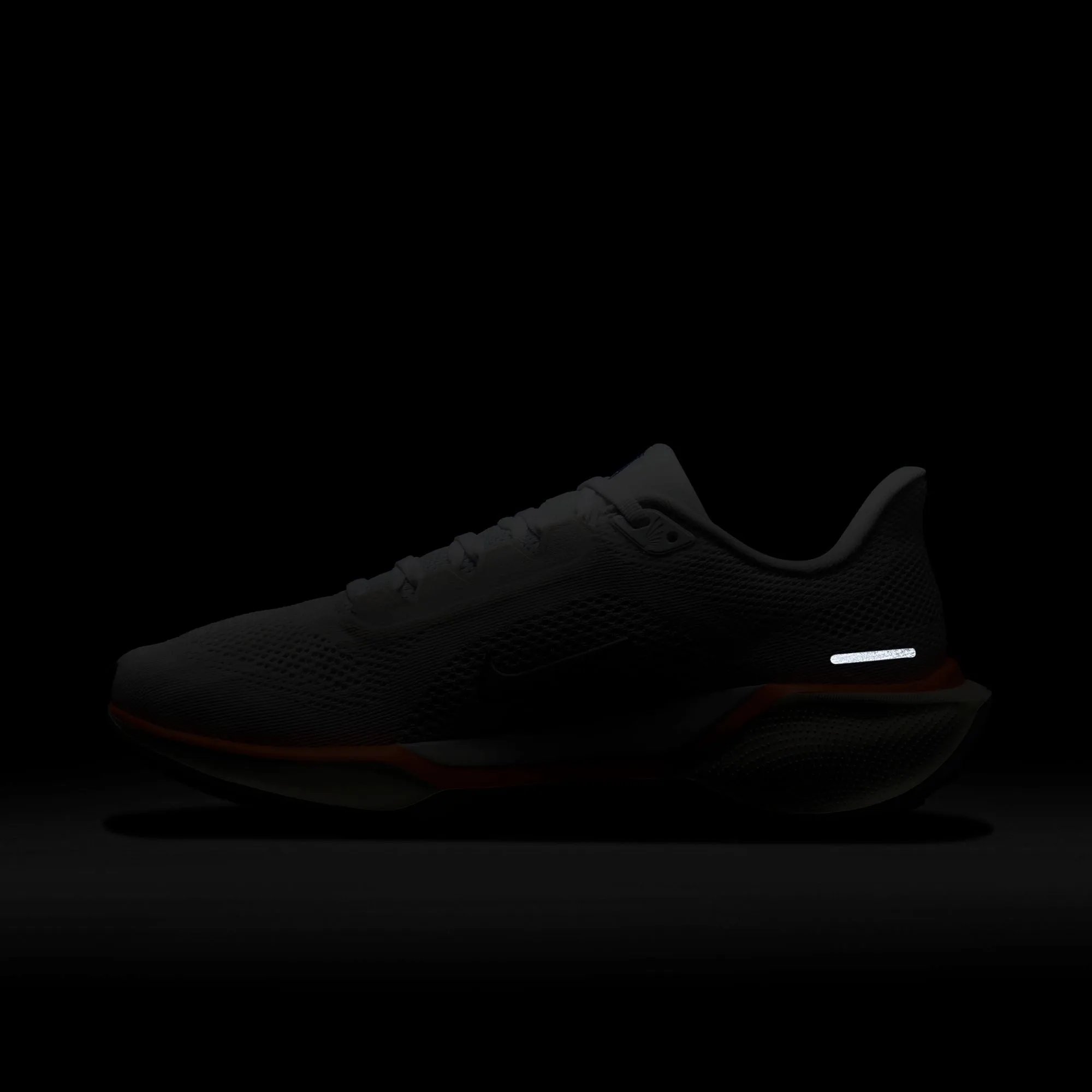 Nike Air Zoom Pegasus 41 FP Mens